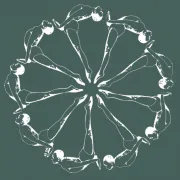 Ann Arbor School of Yoga logo