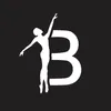 BSD Dance Studio logo
