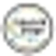 Electrik Image Spa logo