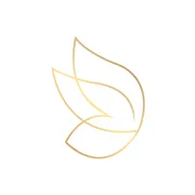 Elevate Aesthetics logo