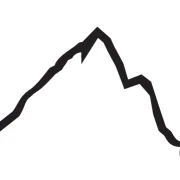 Elevate Medical Aesthetics and Wellness logo