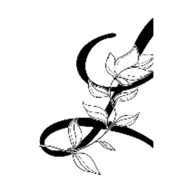 Luxology Esthetics Spa logo