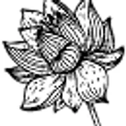 Mattawan Yoga logo