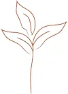 Reach + Root Movement logo