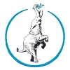 Reforming Foundations Pilates & Wellness - Rochester logo