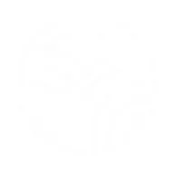 RosewoodMedicalSpa logo