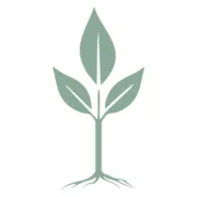 Soul Spring Studio logo