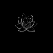 The White Lotus Boutique logo