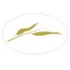 Willow Medspa logo
