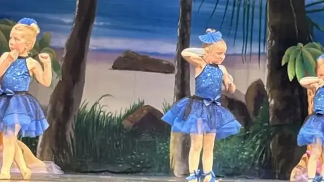 Academy De La Danse photo