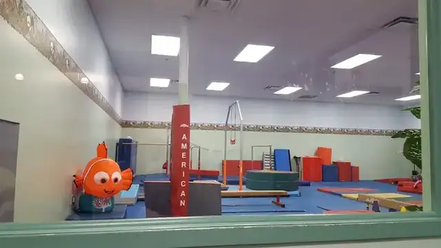 Aerial Express Gymnastics and Dance photo