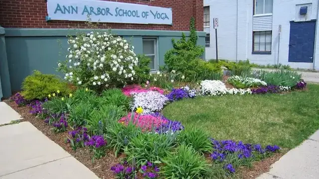 Ann Arbor School of Yoga photo
