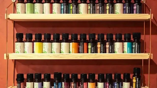 Elysian Holistics PLLC photo
