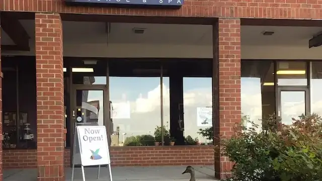 Everyday Health Massage and Spa photo