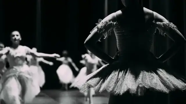 Fenton Ballet Theatre photo