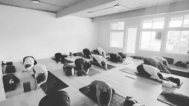 Heart Flo Yoga Co. photo
