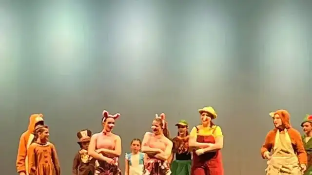 Heather's Dance Co, LLC (HDC) photo