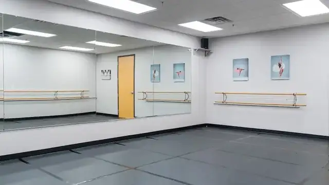 Michigan Academy of Dance + Arts (formerly Ann Parsley School of Dance) photo