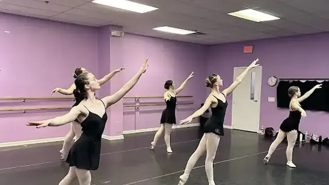Michigan Academy of Dance & Music photo