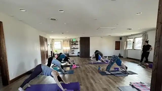 Midland Yoga Collective photo