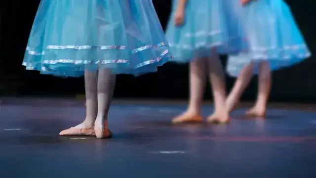 Miss Dee's School of Dance photo