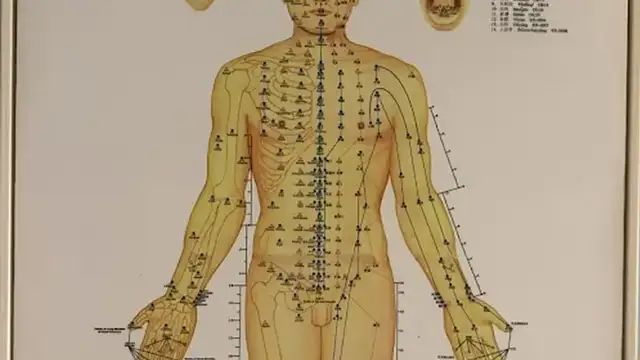 Oasis Health Spa photo