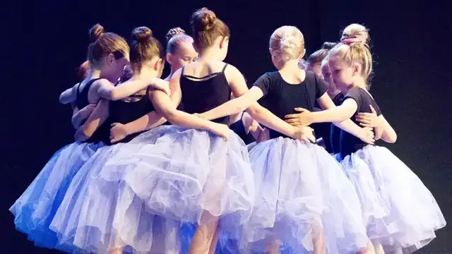 School for the Arts photo