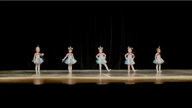 The Institution of Dance Arts photo