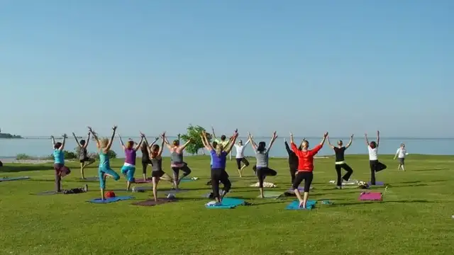 Yoga Roots and Healing Arts photo